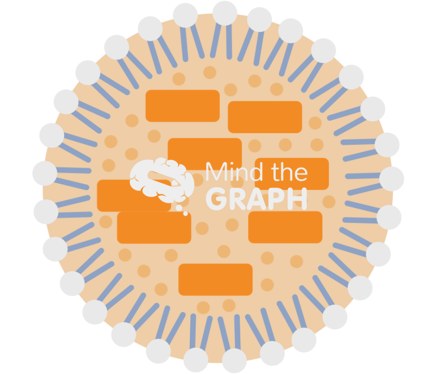 Lipid carriers nanoparticle type3 Icons, Symbols, Pictures, and Images