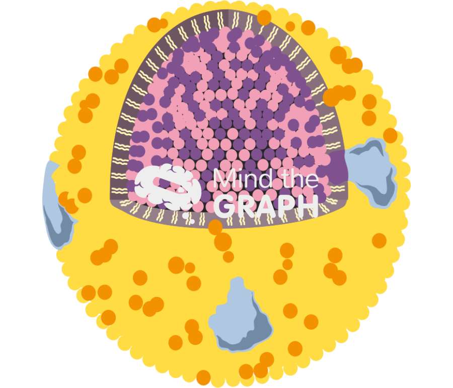 Lipoprotein Icons, Symbols, Pictures, and Images