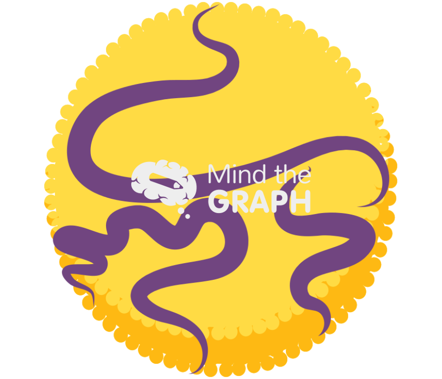 Lipoprotein idl Icons, Symbols, Pictures, and Images