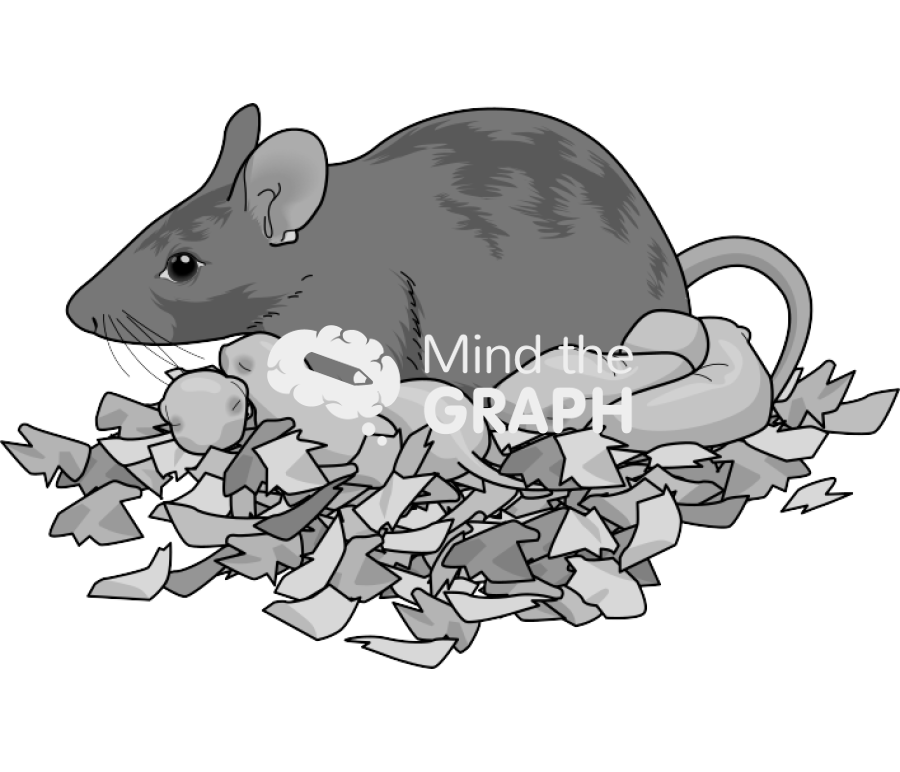 Litter newborn mother 129 brown Icons, Symbols, Pictures, and Images