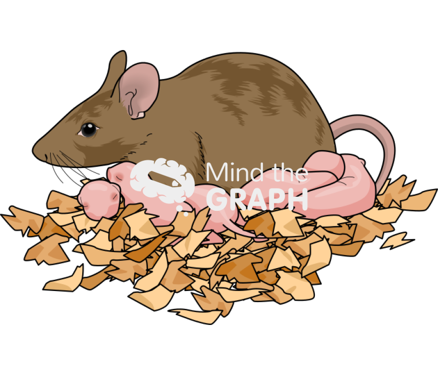 Litter newborn mother 129 brown Icons, Symbols, Pictures, and Images