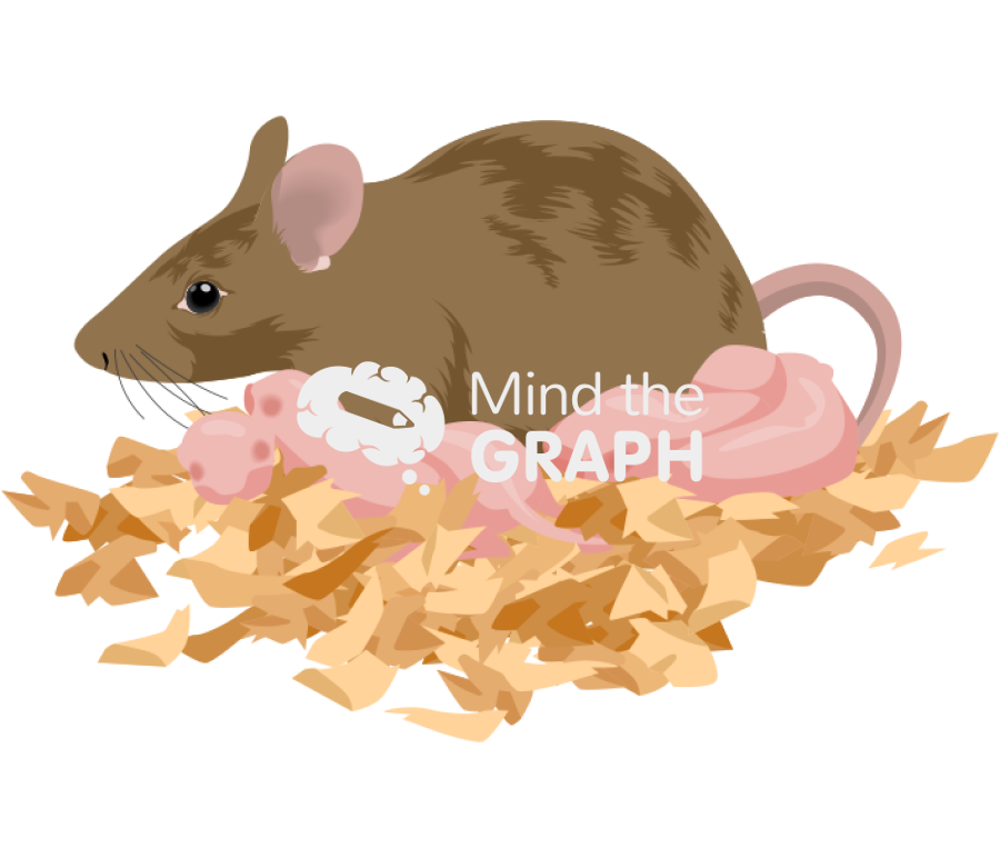 Litter newborn mother 129 brown Icons, Symbols, Pictures, and Images