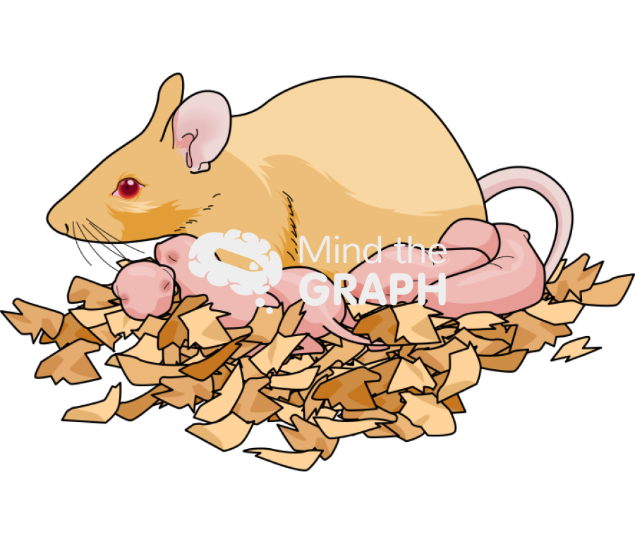 Litter newborn mother agouti yellow Icons, Symbols, Pictures, and Images