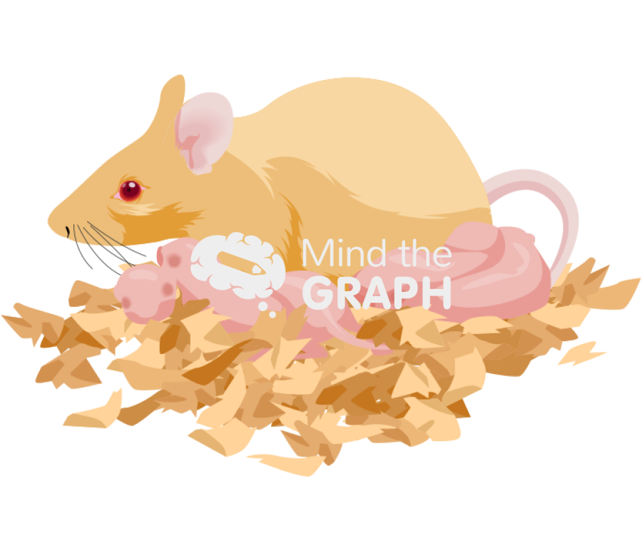 Litter newborn mother agouti yellow Icons, Symbols, Pictures, and Images