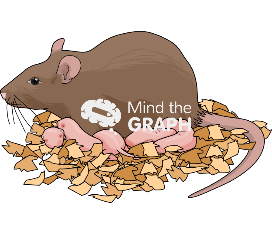 Litter newborn mother rat brown Icons, Symbols, Pictures, and Images