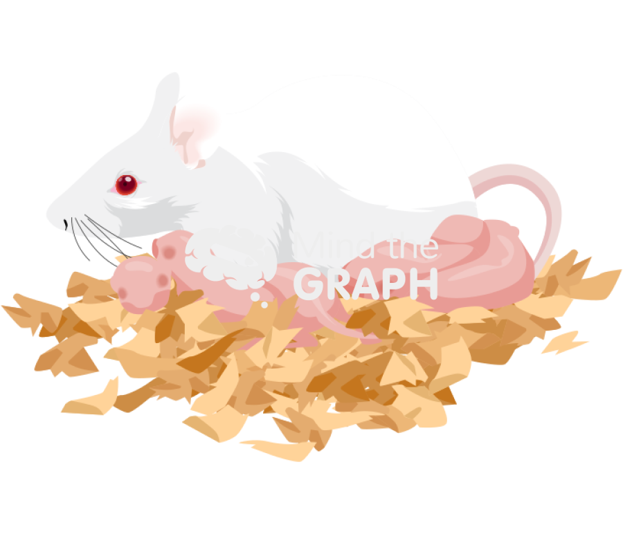 Litter newborn mother swiss white Icons, Symbols, Pictures, and Images