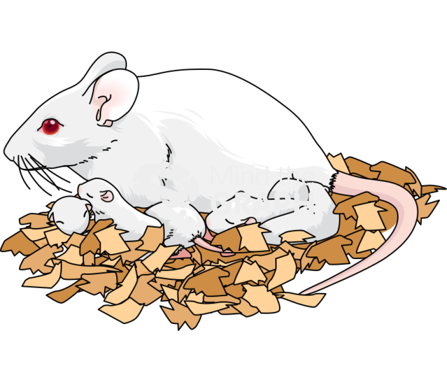Litter preweaning mother mouse swiss Icons, Symbols, Pictures, and Images