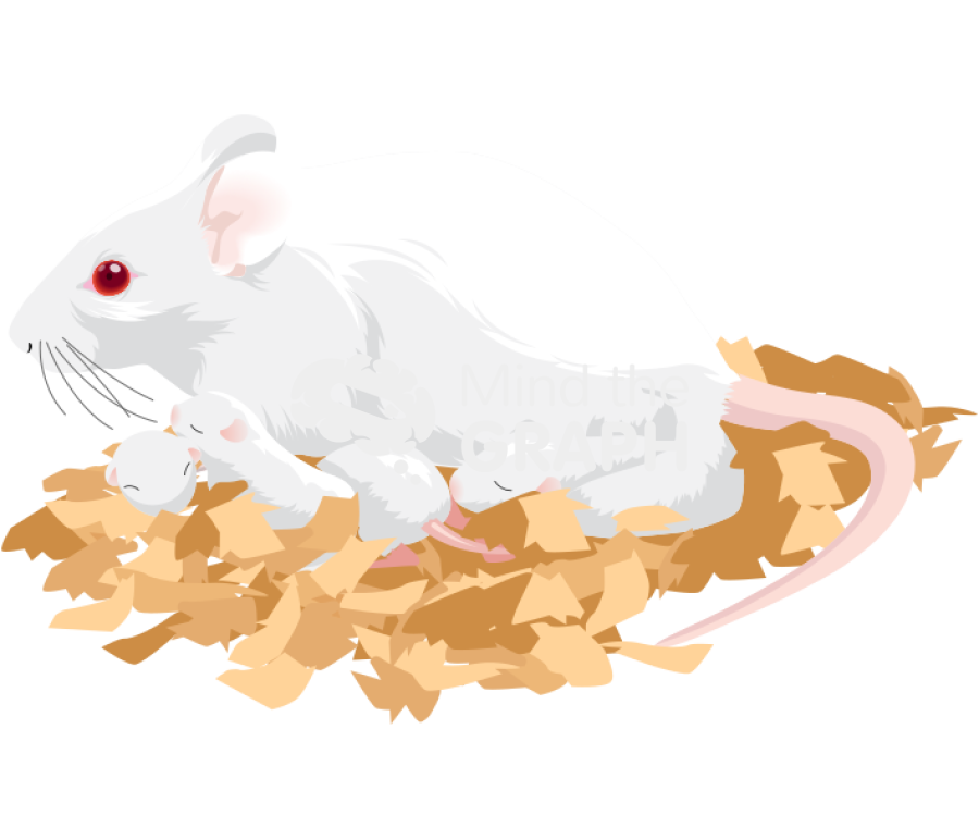 Litter preweaning mother mouse swiss Icons, Symbols, Pictures, and Images