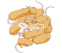 Litter weaning agouti yellow - Edit and Customize Icons of Litter weaning agouti yellow Litter weaning agouti yellow Icons, Symbols, Pictures, and Images