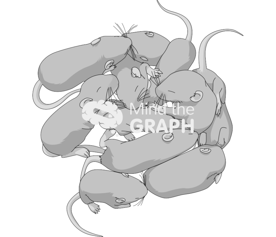 Litter weaning agouti yellow Icons, Symbols, Pictures, and Images