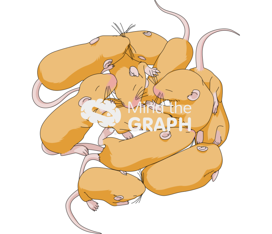 Litter weaning agouti yellow Icons, Symbols, Pictures, and Images