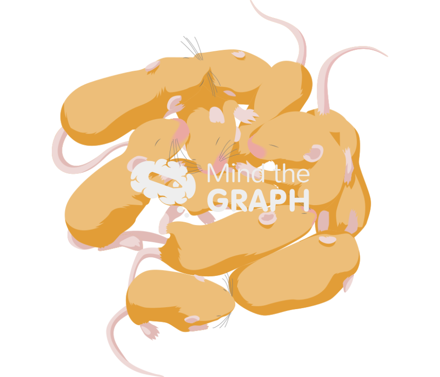 Litter weaning agouti yellow Icons, Symbols, Pictures, and Images