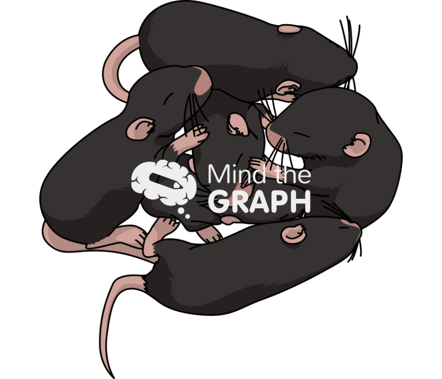 Litter weaning black 2 Icons, Symbols, Pictures, and Images