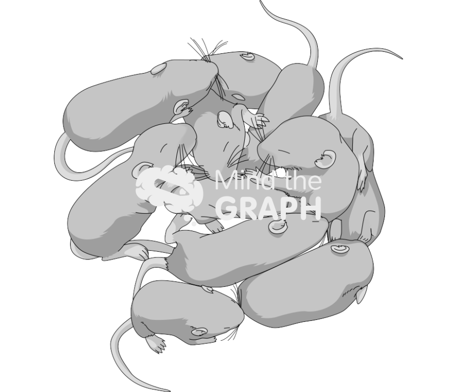 Litter weaning dba gray Icons, Symbols, Pictures, and Images