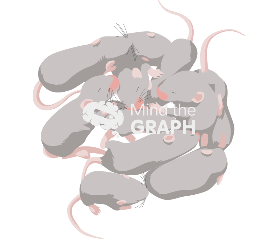 Litter weaning dba gray Icons, Symbols, Pictures, and Images