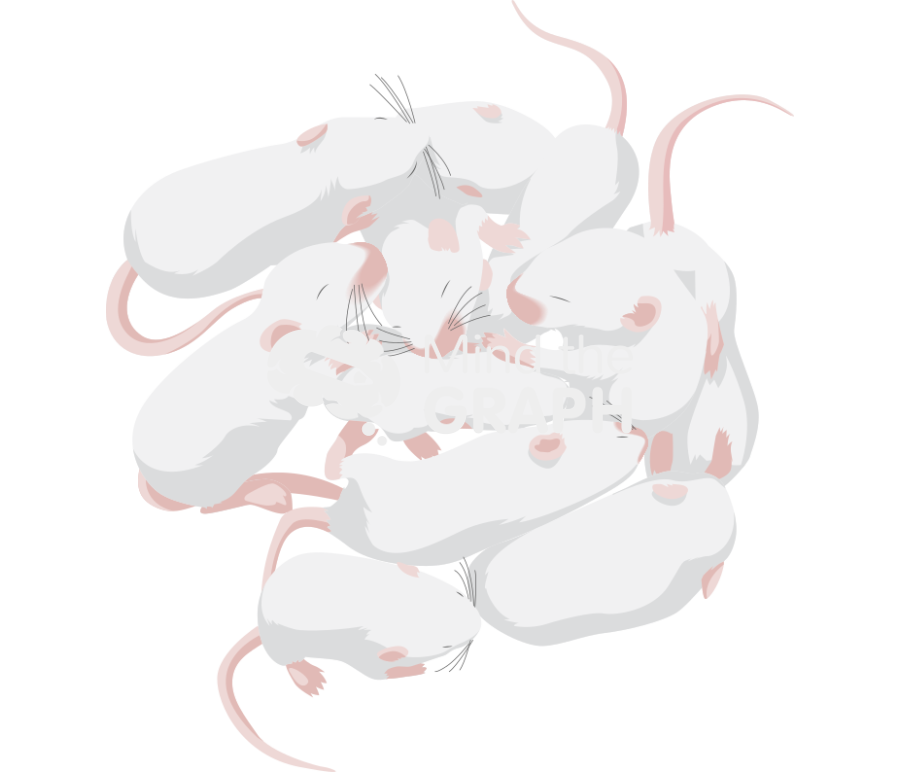 Litter weaning white Icons, Symbols, Pictures, and Images