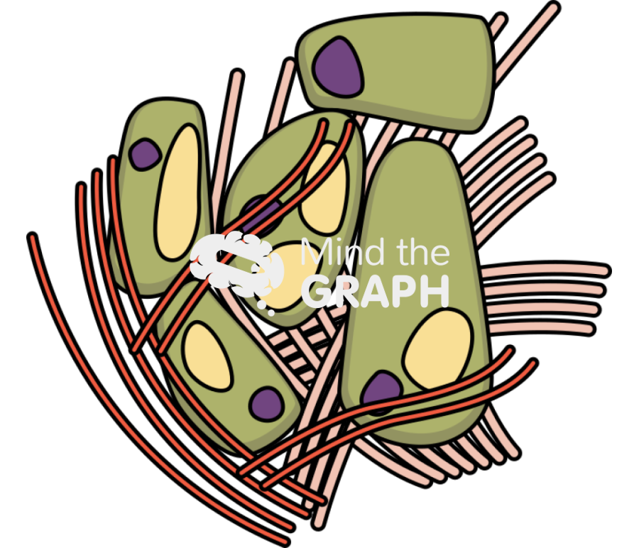 Liver cell cancer Icons, Symbols, Pictures, and Images