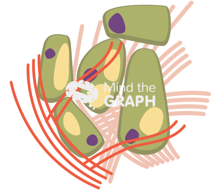 Liver cell cancer Icons, Symbols, Pictures, and Images