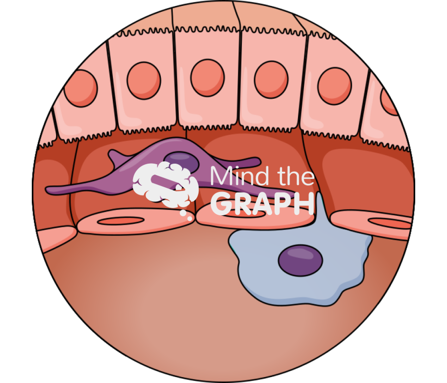Liver cells zoom Icons, Symbols, Pictures, and Images