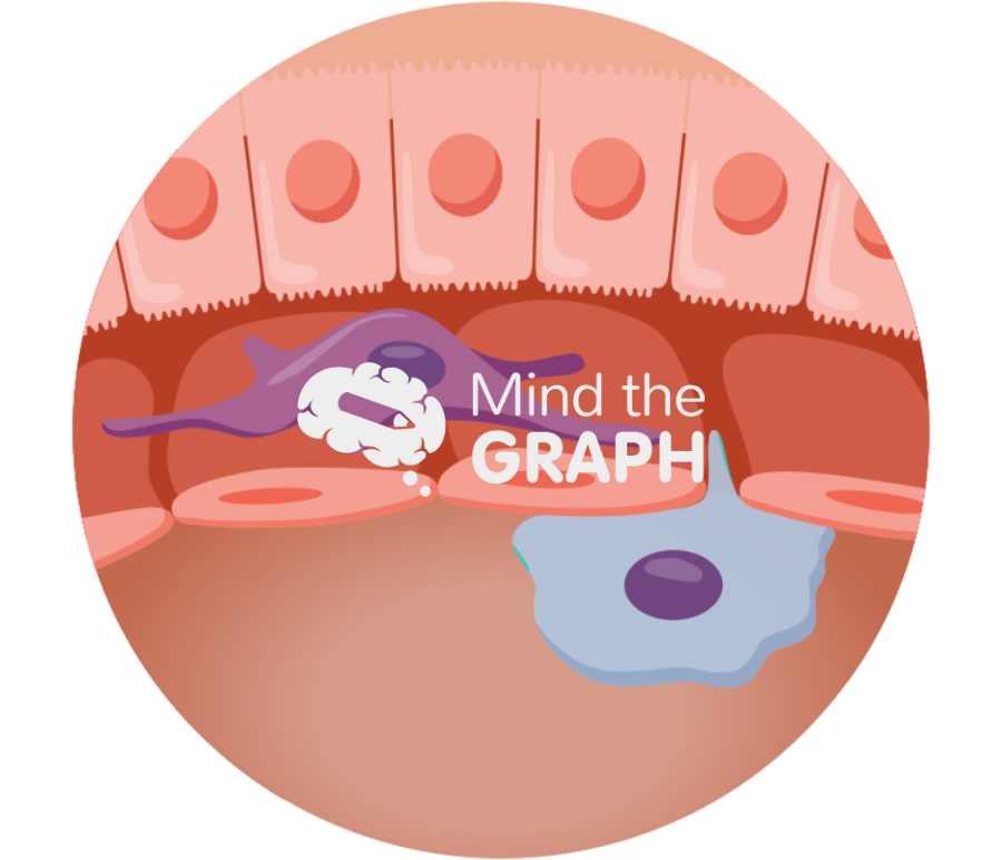 Liver cells zoom Icons, Symbols, Pictures, and Images