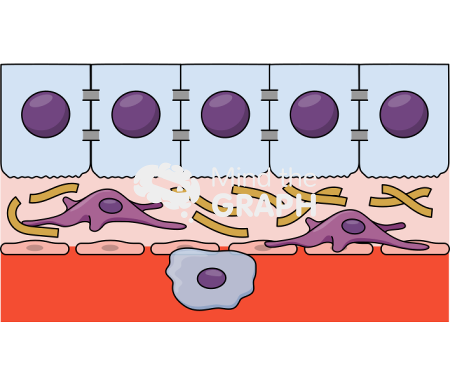 Liver fibrogenesis Icons, Symbols, Pictures, and Images