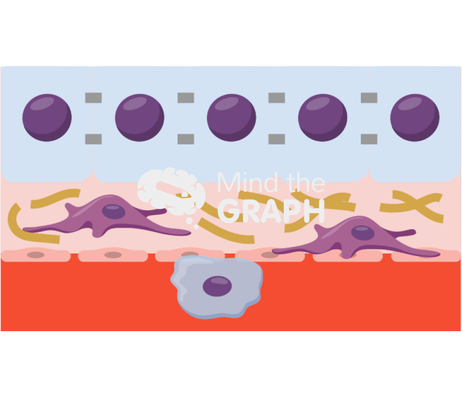 Liver fibrogenesis Icons, Symbols, Pictures, and Images