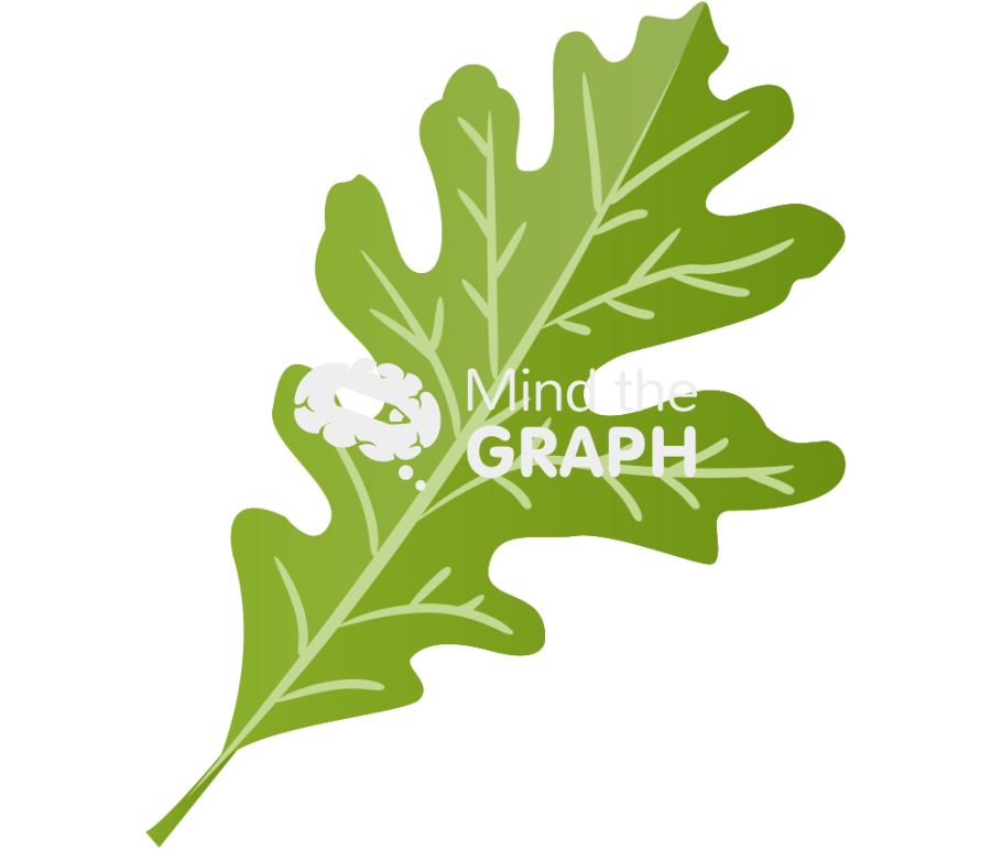 Lobed leaf Icons, Symbols, Pictures, and Images