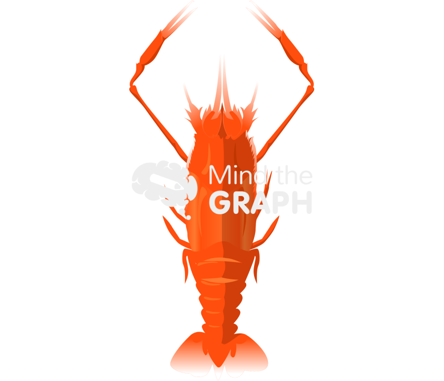 Lobster polycheles thyphlops dorsal Icons, Symbols, Pictures, and Images