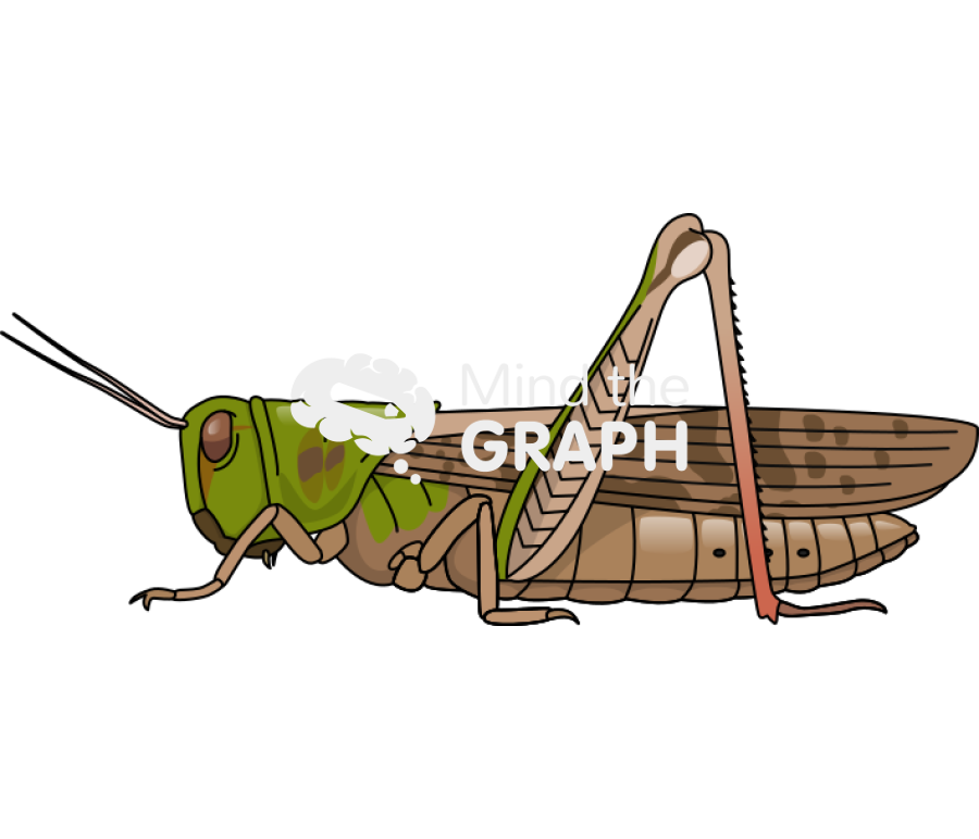 Locust lateral Icons, Symbols, Pictures, and Images