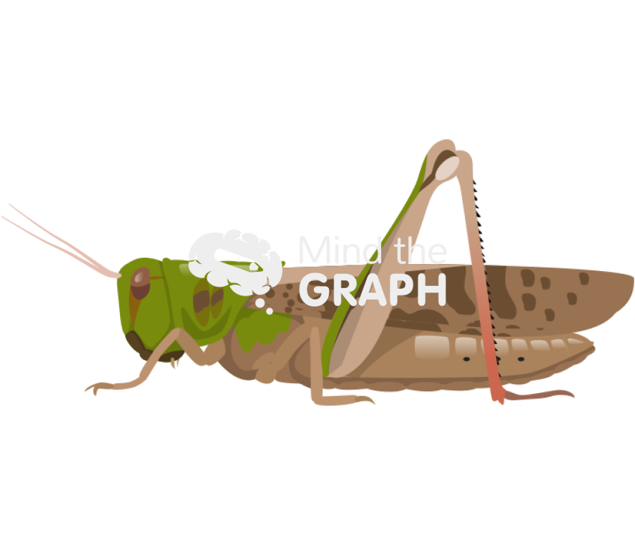 Locust lateral Icons, Symbols, Pictures, and Images