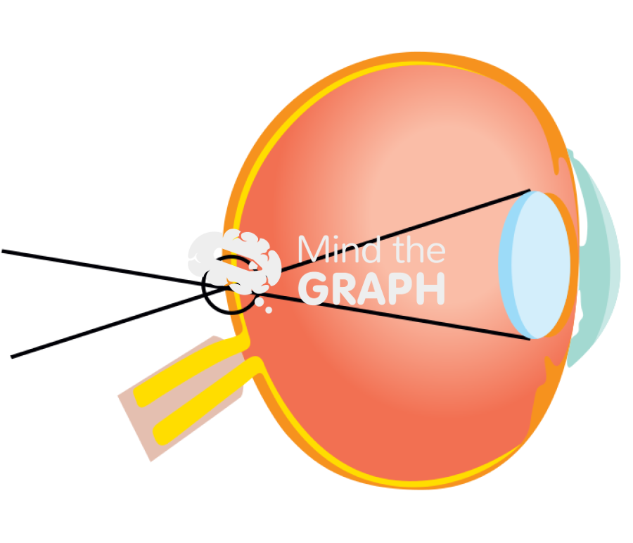 Long sighted eye vision Icons, Symbols, Pictures, and Images