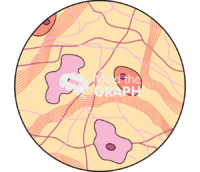 Loose connective Icons, Symbols, Pictures, and Images
