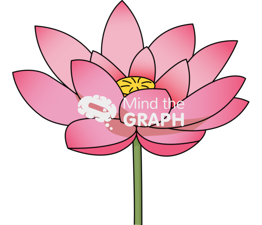 Lotus flower lateral Icons, Symbols, Pictures, and Images