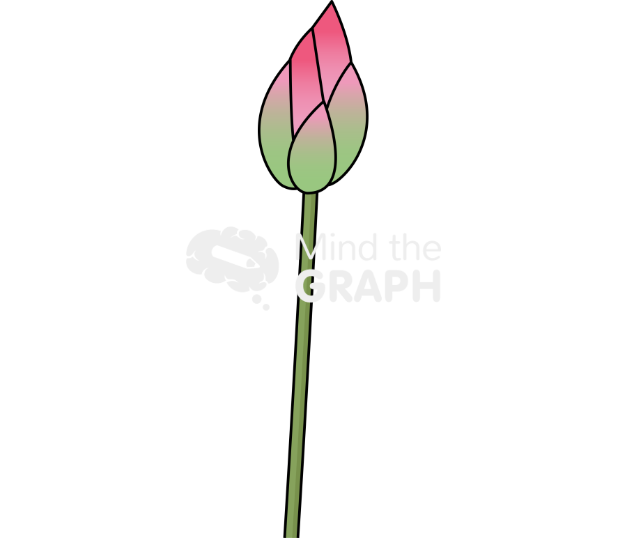 Lotus flower lateral 2 Icons, Symbols, Pictures, and Images