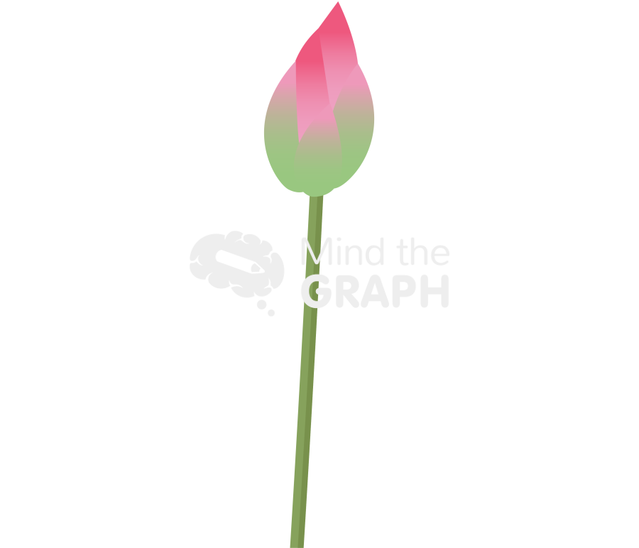 Lotus flower lateral 2 Icons, Symbols, Pictures, and Images