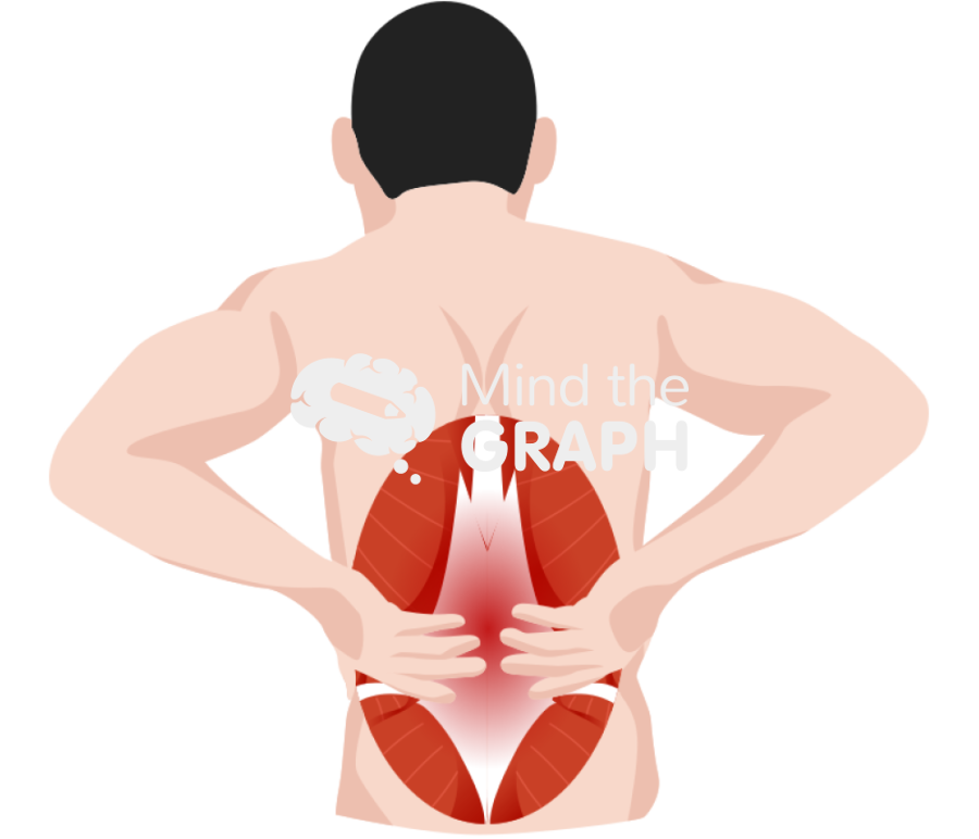 Low back pain body zoom muscles Icons, Symbols, Pictures, and Images