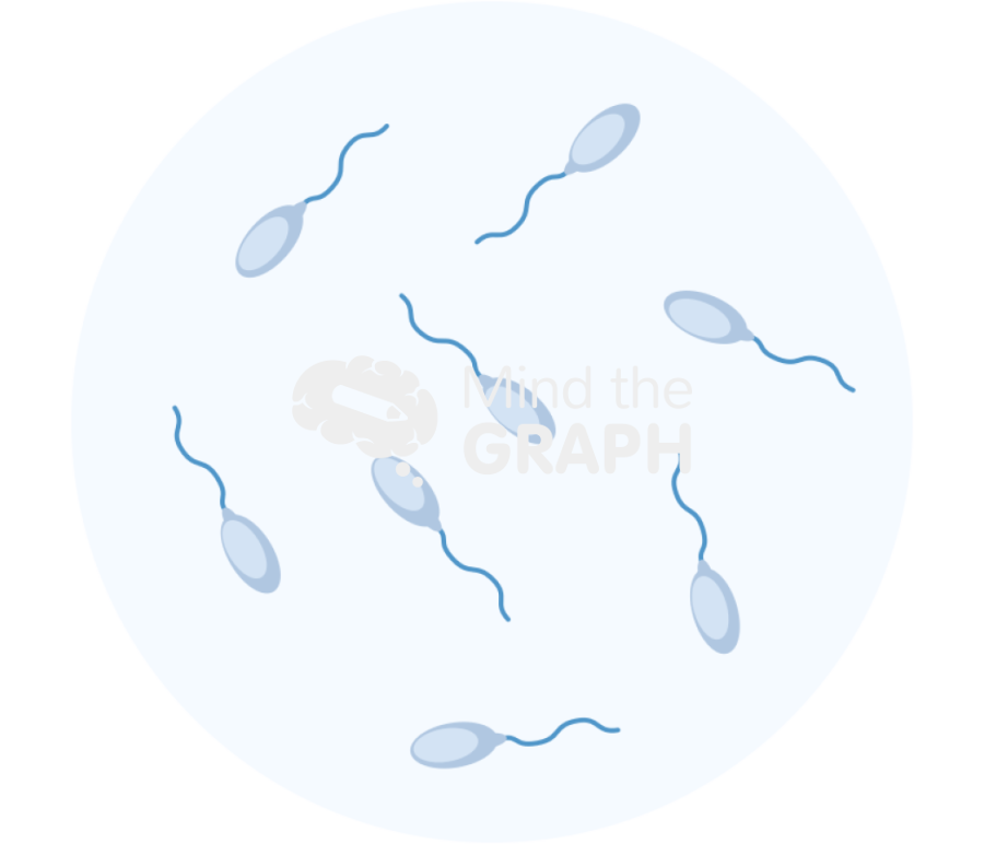 Low sperm count zoom Icons, Symbols, Pictures, and Images