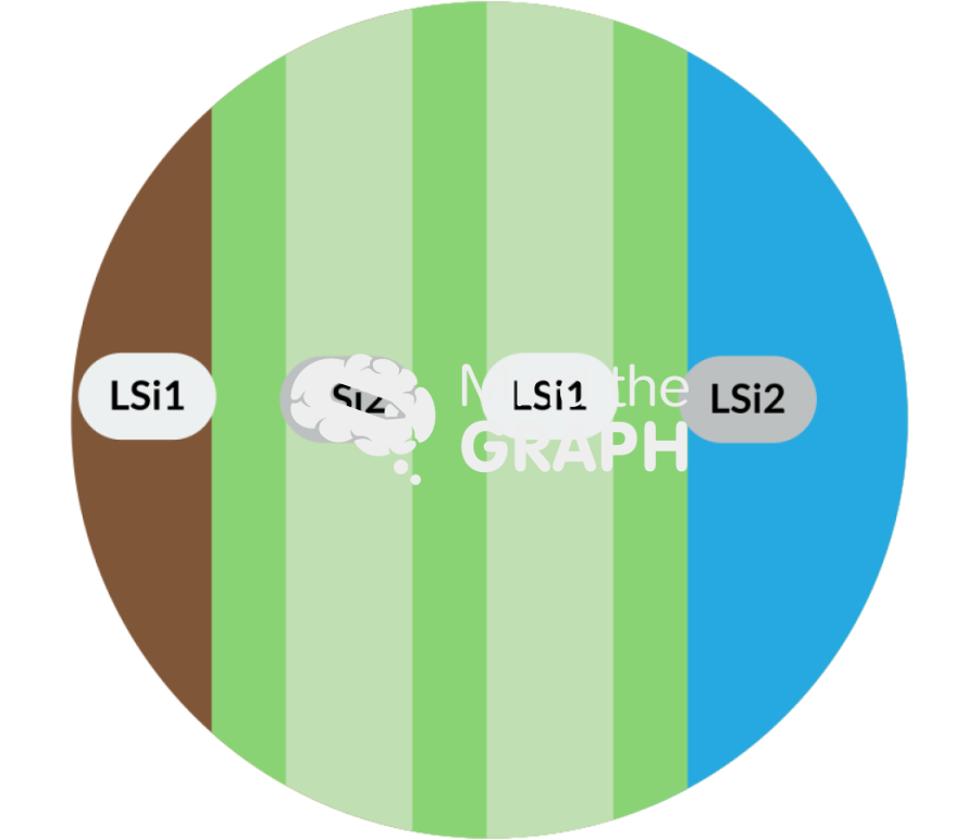 Lsi1 lsi2 transport rice root Icons, Symbols, Pictures, and Images