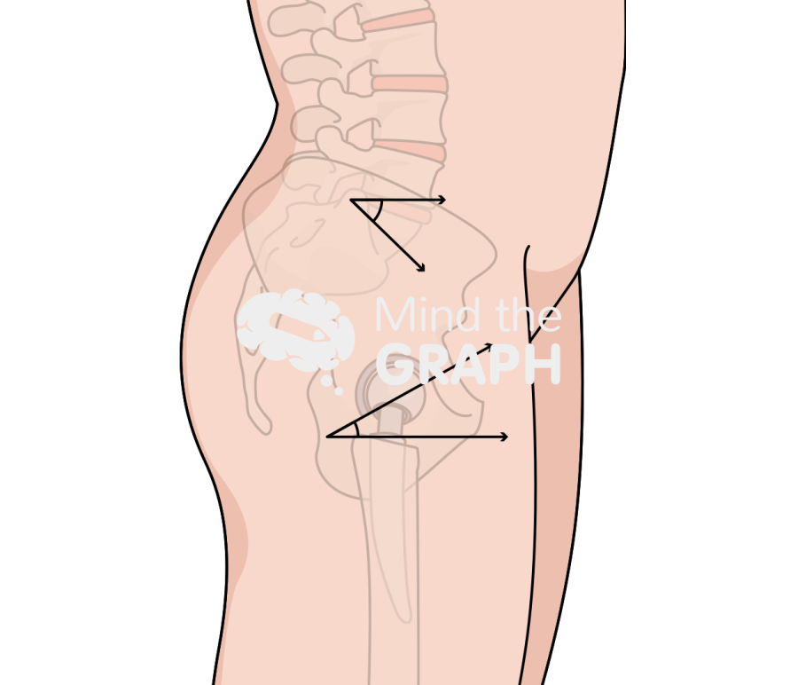 Lumbosacral angles standing body full Icons, Symbols, Pictures, and Images