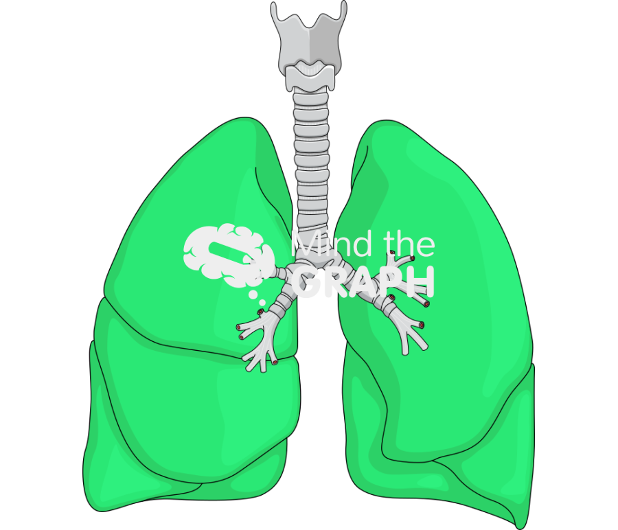 Lung front 2 indocyanine green icg Icons, Symbols, Pictures, and Images