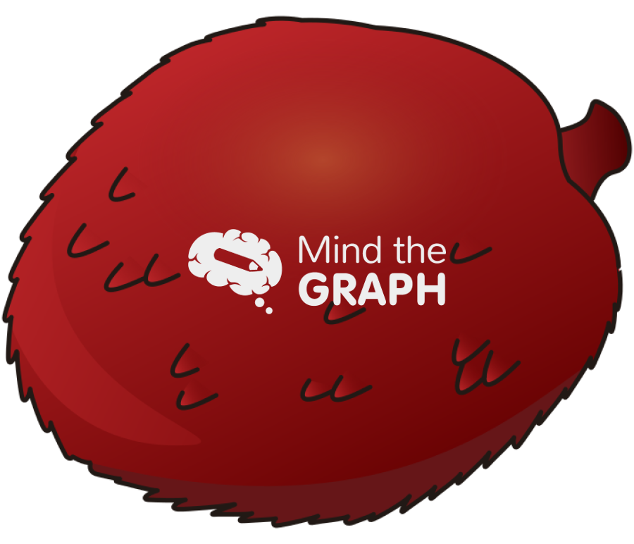 Lychee fruit Icons, Symbols, Pictures, and Images