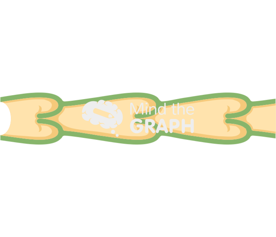 Lymphatic vessel Icons, Symbols, Pictures, and Images