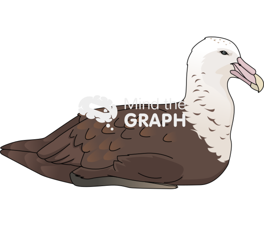 Macronectes giganteus antarctic giant petrel seabird Icons, Symbols, Pictures, and Images