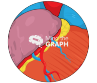 Main vessel perforation - Edit and Customize Icons of Main vessel perforation Main vessel perforation Icons, Symbols, Pictures, and Images