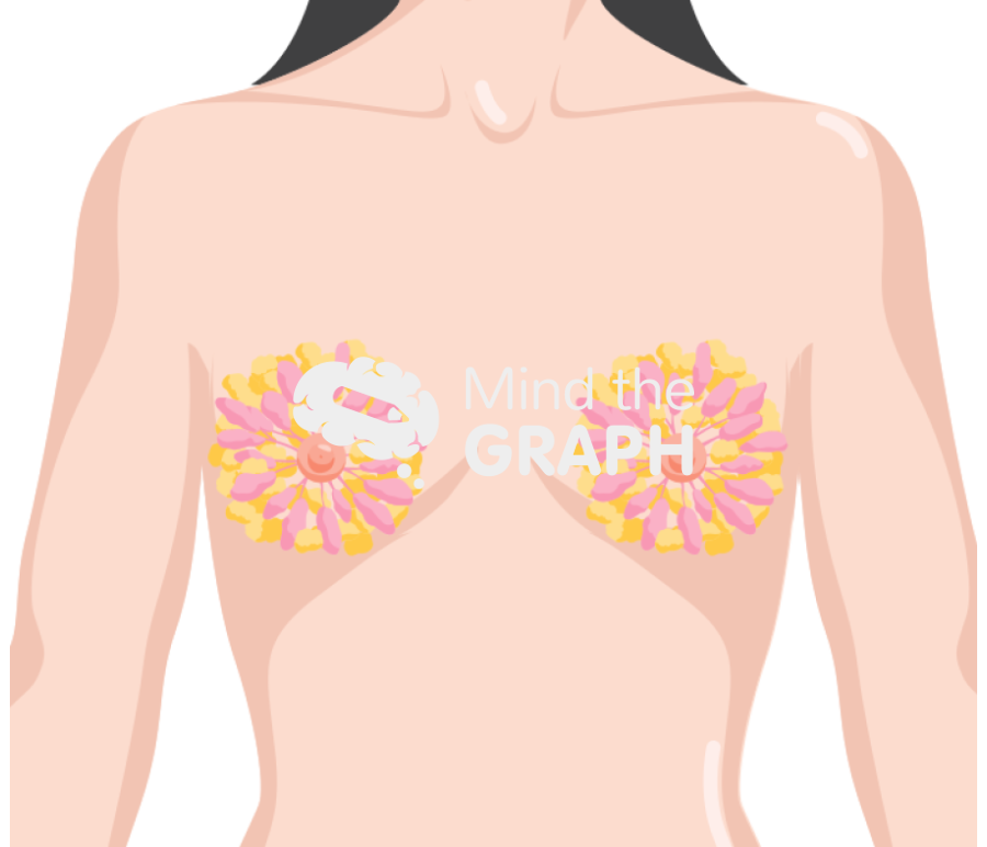 Mammary gland fat bodycolor Icons, Symbols, Pictures, and Images
