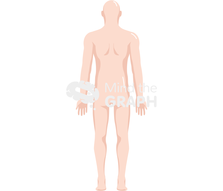 Man anatomic back caucasian Icons, Symbols, Pictures, and Images