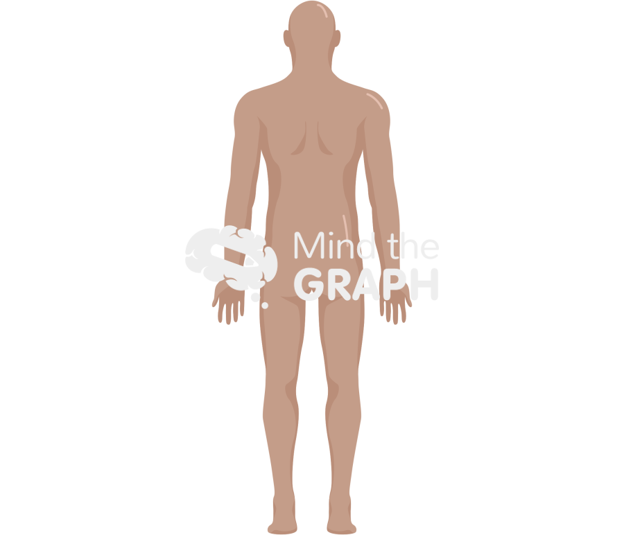 Man anatomic back tanned Icons, Symbols, Pictures, and Images