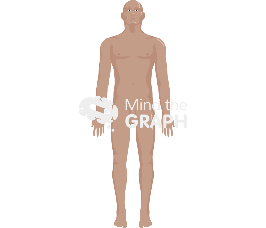 Man anatomic front tanned Icons, Symbols, Pictures, and Images