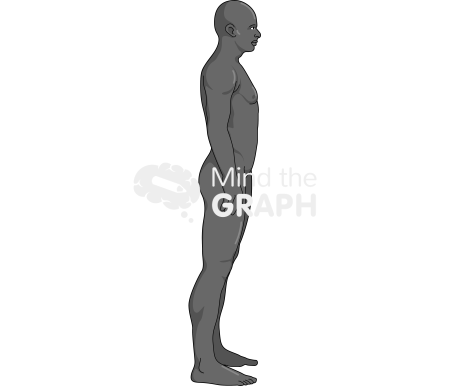 Man anatomic side afro Icons, Symbols, Pictures, and Images