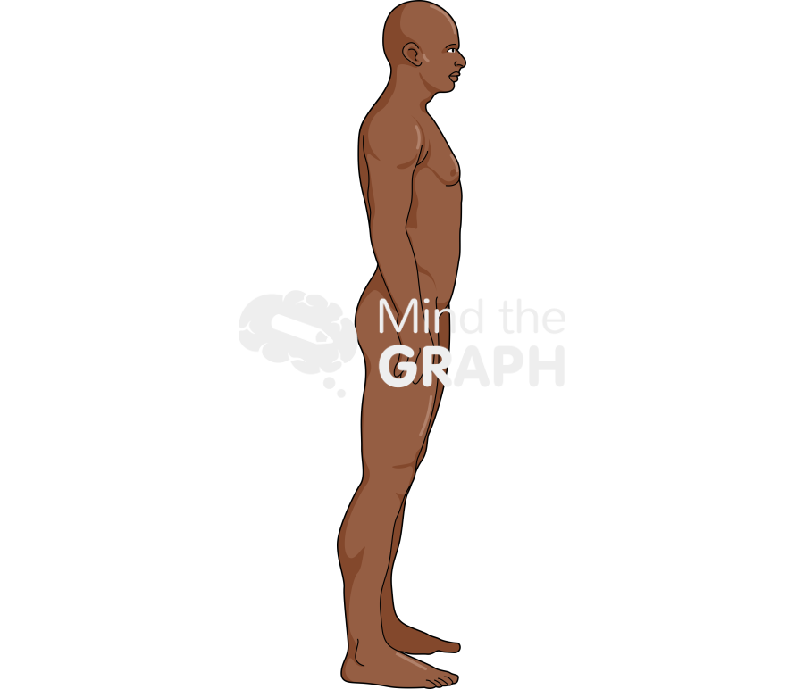 Man anatomic side afro Icons, Symbols, Pictures, and Images